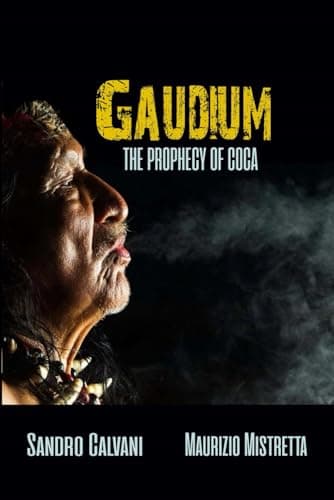 Gaudium cover