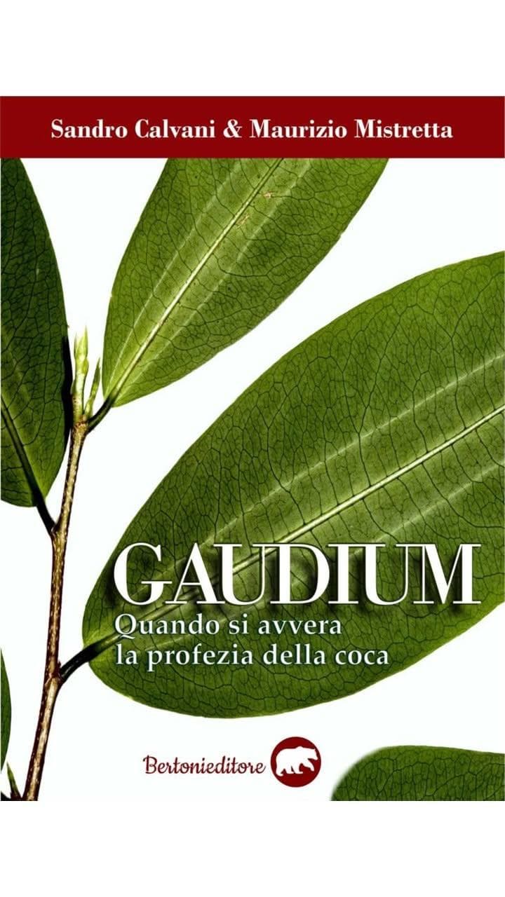 Gaudium cover